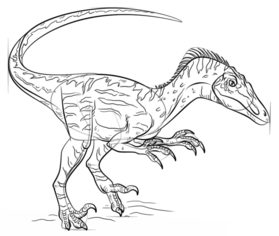 Dinosaurier -  Velociraptor zeichnen lernen schritt für schritt tutorial 7