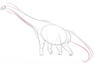 Dinosaurier - Brachiosaurus zeichnen lernen schritt für schritt tutorial 5
