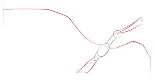 Dinosaurier - Pteranodon zeichnen lernen schritt für schritt tutorial 3