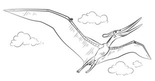 Dinosaurier - Pteranodon zeichnen lernen schritt für schritt tutorial 8
