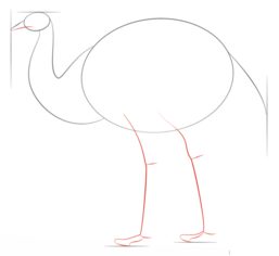 Emu zeichnen lernen schritt für schritt tutorial 3