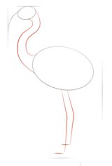 Flamingo zeichnen lernen schritt für schritt tutorial 2