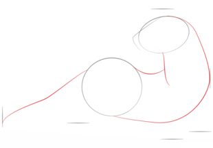 Frettchen zeichnen lernen schritt für schritt tutorial 2