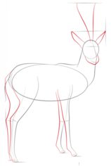 Gazelle zeichnen lernen schritt für schritt tutorial 4