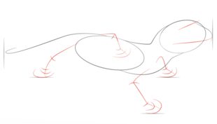 Gecko zeichnen lernen schritt für schritt tutorial 3