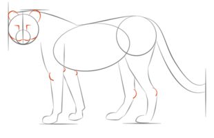 Gepard zeichnen lernen schritt für schritt tutorial 5