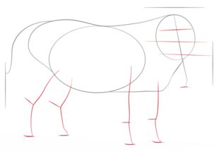 Warzenschwein zeichnen lernen schritt für schritt tutorial 3