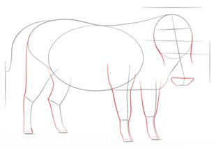 Warzenschwein zeichnen lernen schritt für schritt tutorial 4