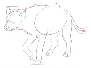 Hyäne zeichnen lernen schritt für schritt tutorial 7