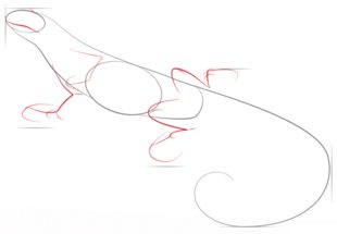 Iguana zeichnen lernen schritt für schritt tutorial 3