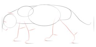 Jaguar zeichnen lernen schritt für schritt tutorial 3