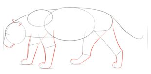 Jaguar zeichnen lernen schritt für schritt tutorial 4