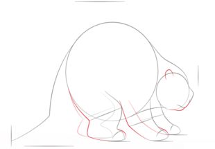 Stachelschwein zeichnen lernen schritt für schritt tutorial 4