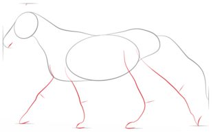 Rennendes Pferd zeichnen lernen schritt für schritt tutorial 3