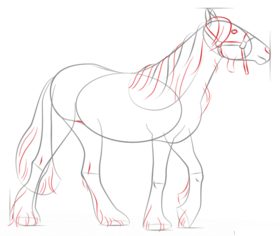 Pferd zeichnen lernen schritt für schritt tutorial 6