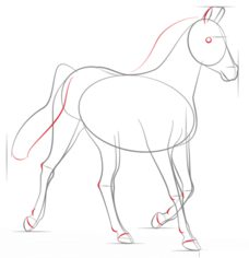 Pferd 3 zeichnen lernen schritt für schritt tutorial 5
