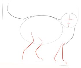Katze zeichnen lernen schritt für schritt tutorial 3