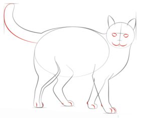 Katze zeichnen lernen schritt für schritt tutorial 5