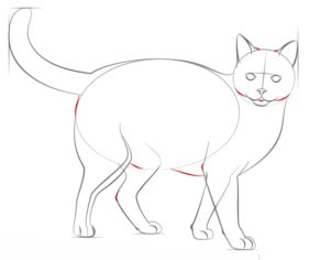Katze zeichnen lernen schritt für schritt tutorial 7