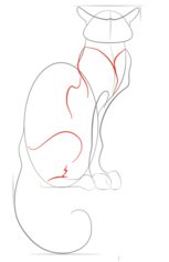 Katze 2 zeichnen lernen schritt für schritt tutorial 4