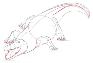 Krokodil zeichnen lernen schritt für schritt tutorial 7