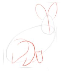 Kaninchen 3 zeichnen lernen schritt für schritt tutorial 2