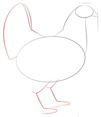 Huhn zeichnen lernen schritt für schritt tutorial 3