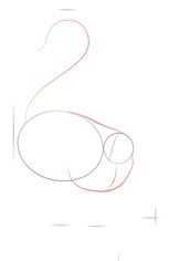 Lemur zeichnen lernen schritt für schritt tutorial 2