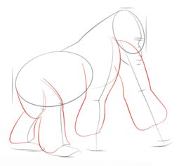 Affe - Gorilla zeichnen lernen schritt für schritt tutorial 4