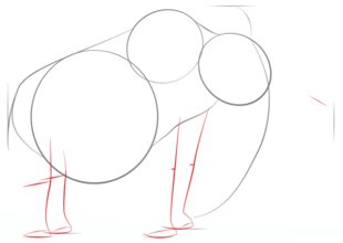 Mammut zeichnen lernen schritt für schritt tutorial 3