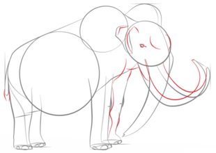 Mammut zeichnen lernen schritt für schritt tutorial 6