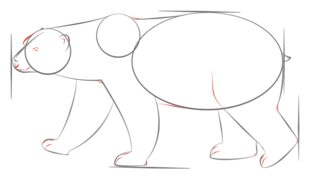 Eisbär zeichnen lernen schritt für schritt tutorial 6