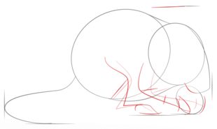 Maus zeichnen lernen schritt für schritt tutorial 3