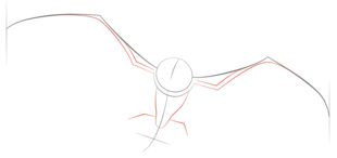 Fledermaus zeichnen lernen schritt für schritt tutorial 3
