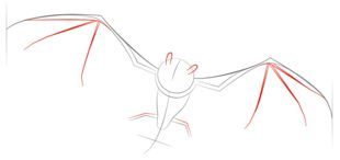 Fledermaus zeichnen lernen schritt für schritt tutorial 4