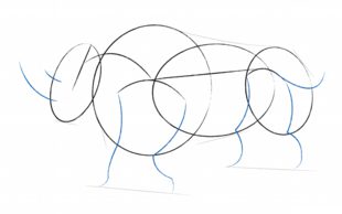 Nashorn zeichnen lernen schritt für schritt tutorial 3