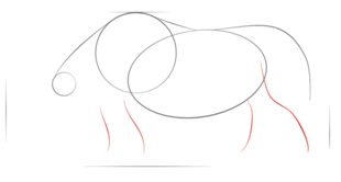 Nashorn 2 zeichnen lernen schritt für schritt tutorial 3