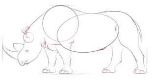 Nashorn 2 zeichnen lernen schritt für schritt tutorial 7