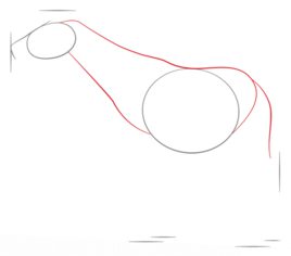 Okapi zeichnen lernen schritt für schritt tutorial 2