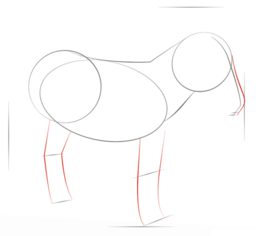 Esel zeichnen lernen schritt für schritt tutorial 4