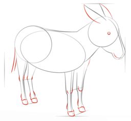 Esel zeichnen lernen schritt für schritt tutorial 6