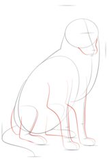 Hund – Collie 2 zeichnen lernen schritt für schritt tutorial 4