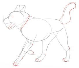 Hund – Husky zeichnen lernen schritt für schritt tutorial 5