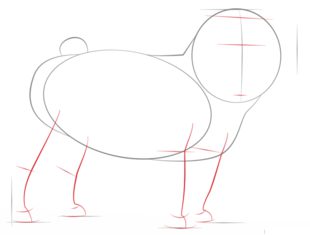 Hund – Mops zeichnen lernen schritt für schritt tutorial 3