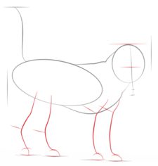 Hund - Terrier zeichnen lernen schritt für schritt tutorial 3