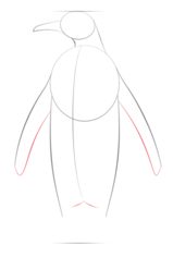 Pinguin 2 zeichnen lernen schritt für schritt tutorial 4