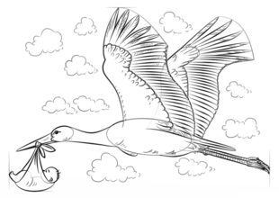 Vogel  - Storch zeichnen lernen schritt für schritt tutorial 7