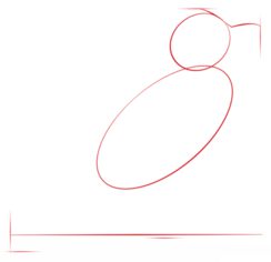 Vogel - Drossel zeichnen lernen schritt für schritt tutorial 1