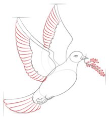 Vogel - Taube zeichnen lernen schritt für schritt tutorial 7