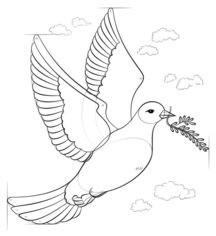 Vogel - Taube zeichnen lernen schritt für schritt tutorial 8